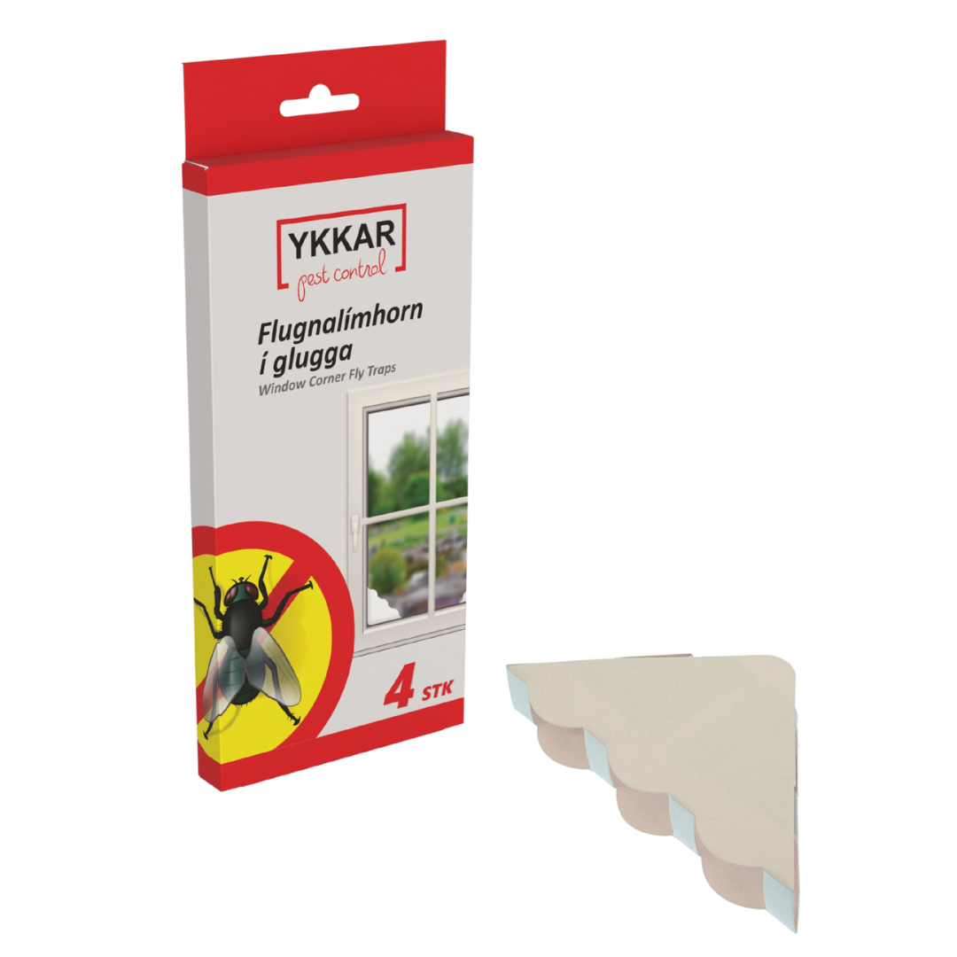 Flugnalímhorn í glugga